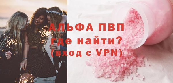 индика Аркадак