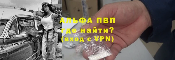 индика Аркадак
