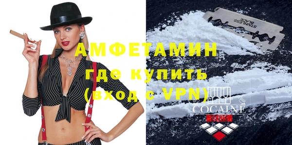 индика Аркадак