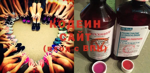 индика Аркадак