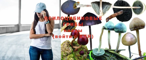 бутират Армянск