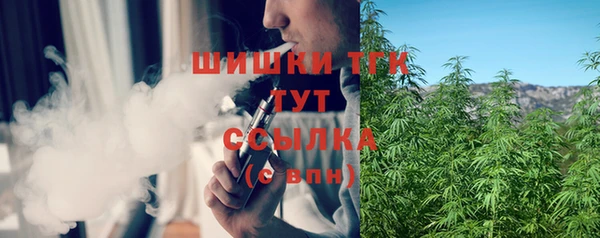 ECSTASY Няндома