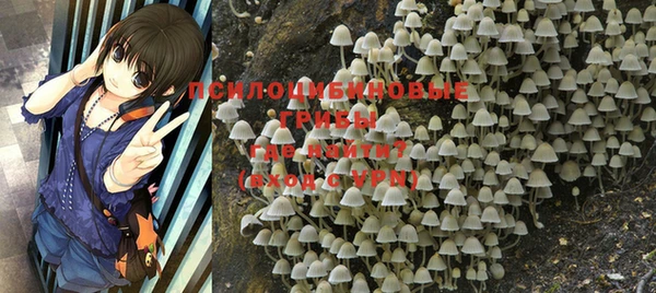 индика Аркадак