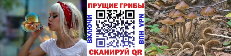 Псилоцибиновые грибы Magic Shrooms  Купить  Нижний Новгород 