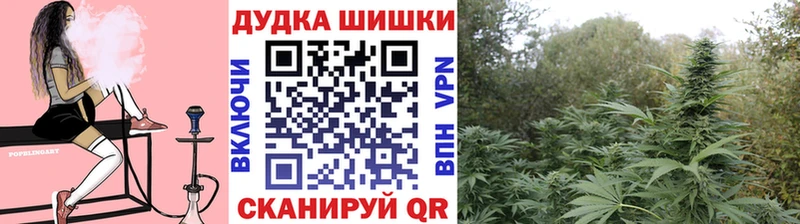 Купить где  Нижний Новгород  Бошки марихуана MAZAR 